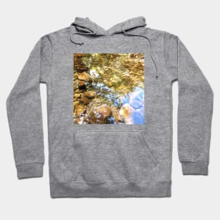 Reflection, lake, trees, pebbles, sparkle, shine, summer, river, aqua, water, spring, holiday, xmas, nature, adventure, rocks, sun, exotic, tropical, blue, turquoise, navy, light Hoodie